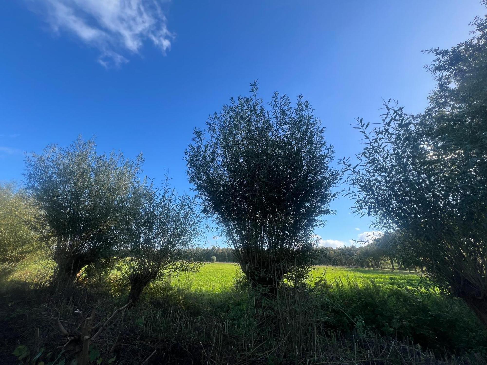 Aldoerrum Hoevelogementen Aarle-Rixtel Esterno foto